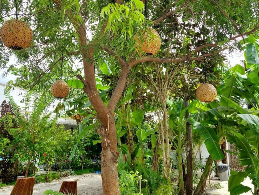 טאודו Coco Villa מראה חיצוני תמונה
