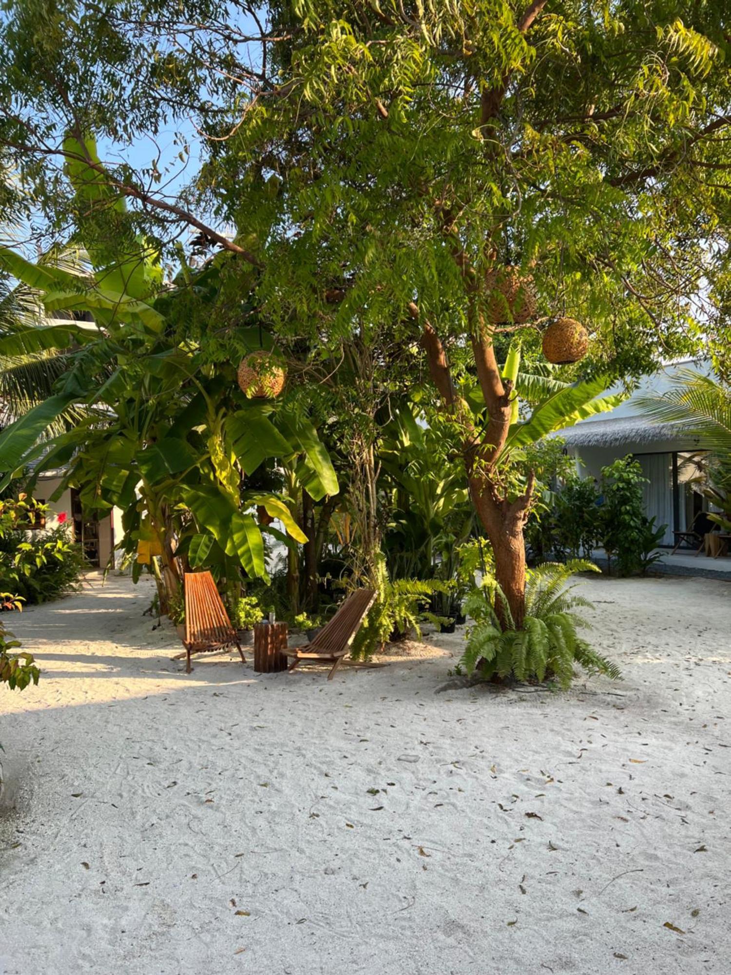 טאודו Coco Villa מראה חיצוני תמונה